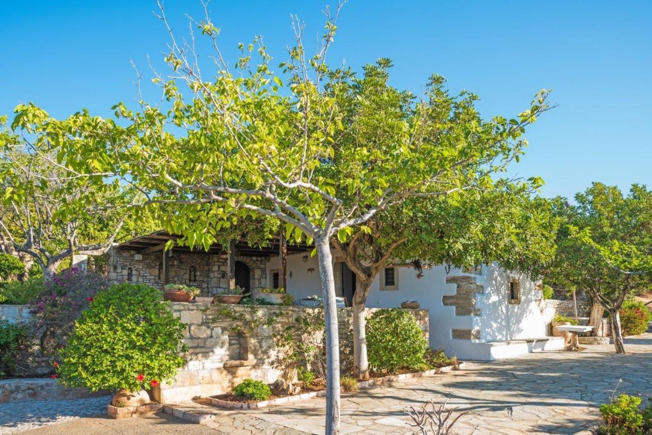 Villa Venus Avlemonas Extérieur photo